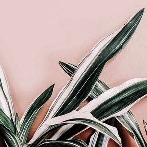 Meet your Posher, Avani